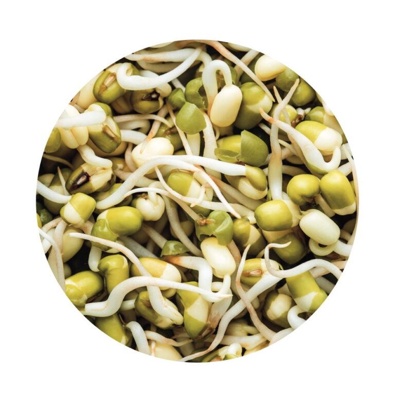 Sprouted Moong - 100 Gm