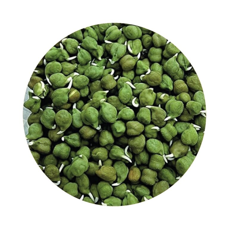 Sprouted Green Channa - 100Gm