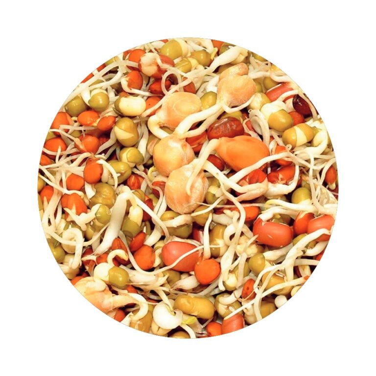 Mix Sprouts - 100Gm
