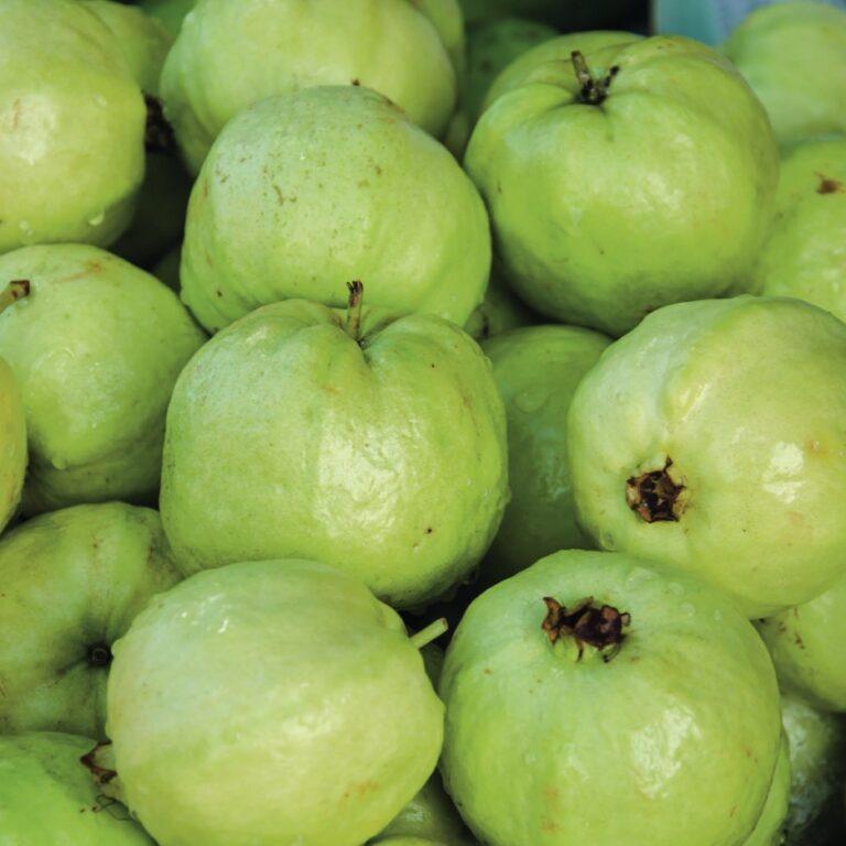 Guava - 1kg