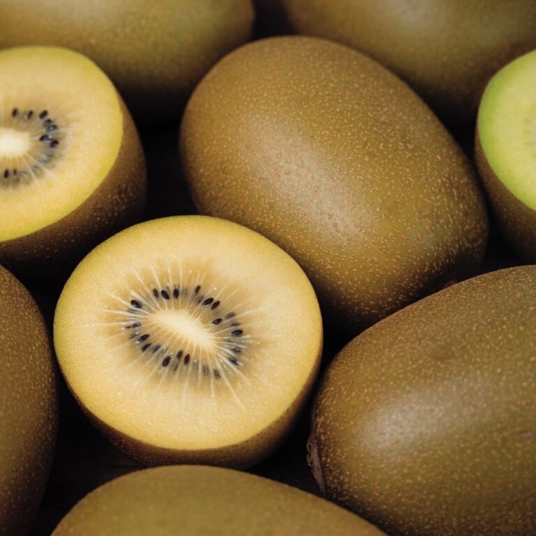 Kiwi (3pcs)